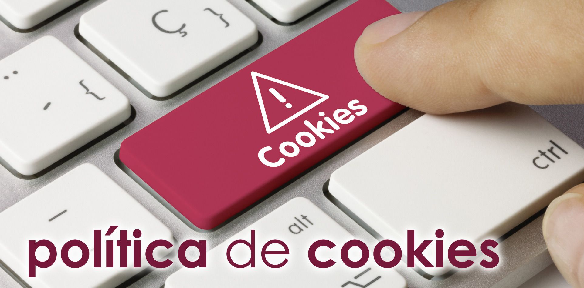 labdesign cookies web palma mallorca